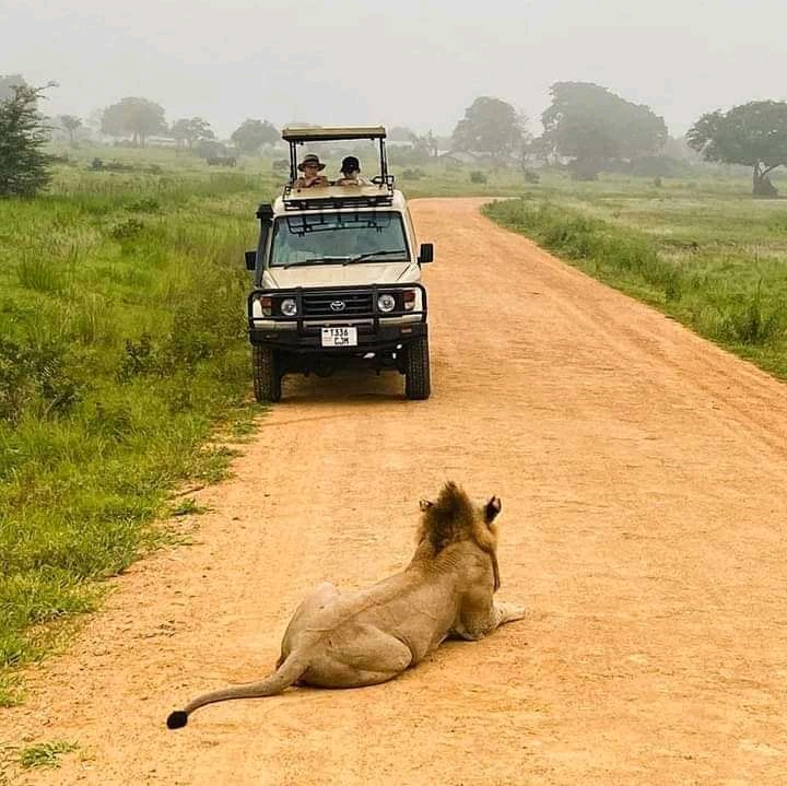 12-day hwange np, victoria falls, chobe np to okavango